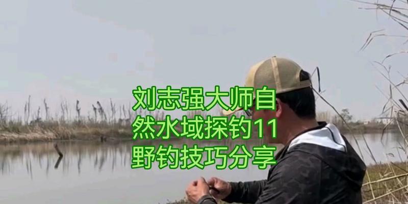 自然水域用玉米钓鱼技巧有哪些？如何提高钓鱼成功率？