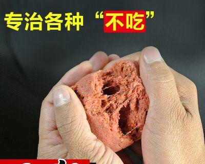 自制鱼饵搭配技巧有哪些？如何制作效果最佳的鱼饵？