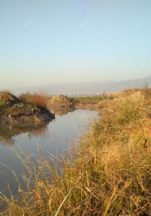 冬季走水河道钓鱼有哪些技巧？如何提高冬季钓鱼成功率？