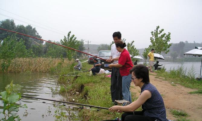 醉鱼草钓鱼技巧有哪些？如何提高钓鱼成功率？