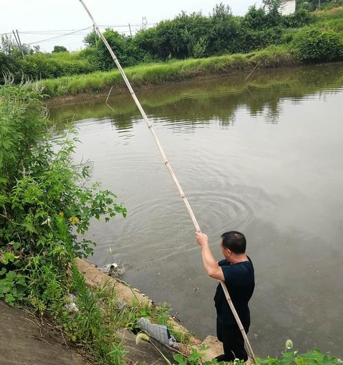 5月阴天钓鱼技巧是什么？如何提高钓获率？