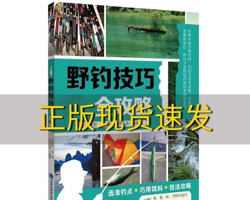 360度钓鱼技巧有哪些？如何提高钓鱼成功率？