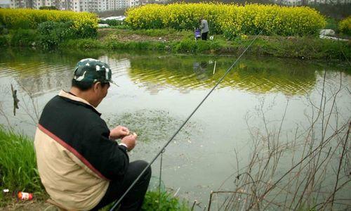 3月钓鱼技巧选钓位和时间是什么？如何根据天气和季节选择最佳钓鱼时间？