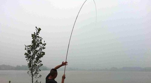 4月份谷雨后阴天钓鱼技巧是什么？如何提高钓鱼成功率？