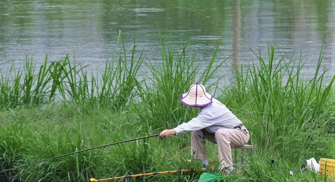 初冬浅滩野钓钓鱼技巧有哪些？如何应对初冬钓鱼的常见问题？