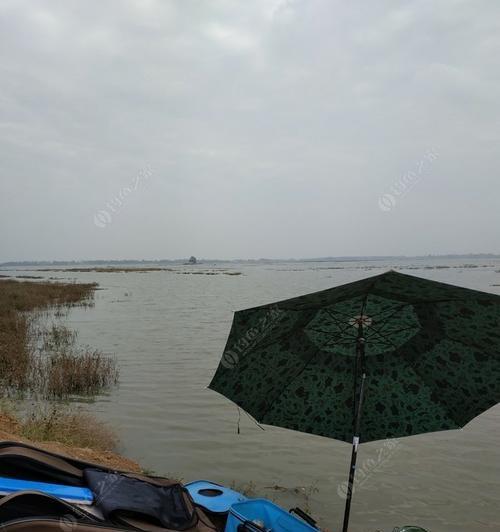 初冬下雨钓鱼技巧是什么？如何应对雨天钓鱼的挑战？