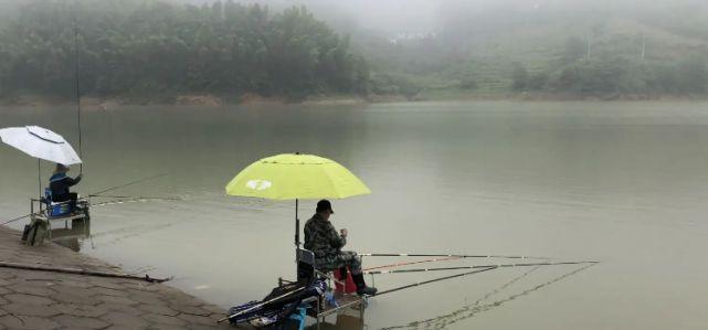 初冬雨后阴天钓鱼技巧有哪些？如何提高钓鱼成功率？