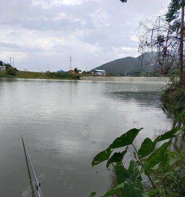 初秋雨天野钓技巧？如何应对天气变化提高钓鱼成功率？