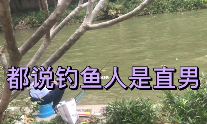 初夏钓鱼技巧有哪些？简单方法如何提高钓获率？