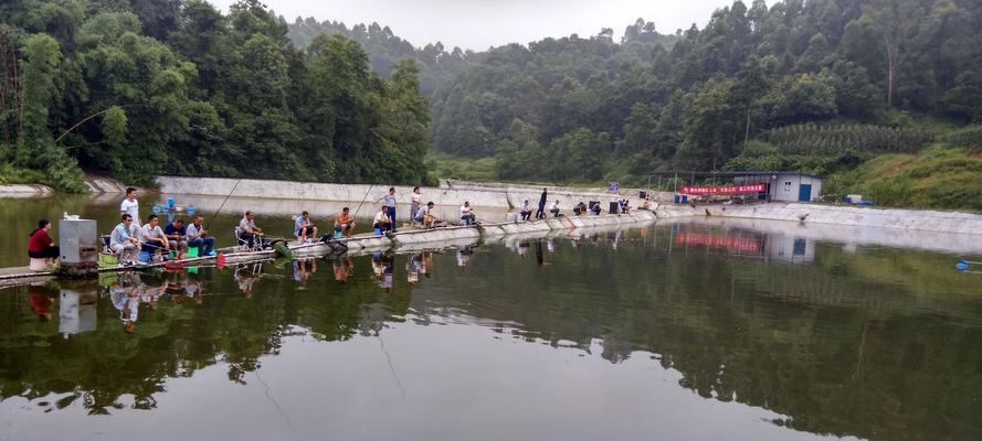 初夏钓鱼选钓位技巧是什么？如何根据季节变化选择最佳钓位？