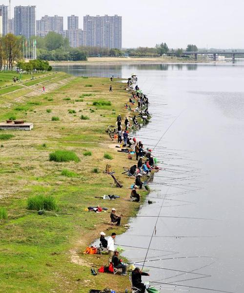 初夏钓鱼选钓位技巧是什么？如何根据季节变化选择最佳钓位？