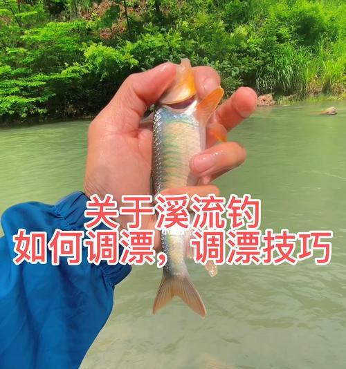 初夏东北钓鱼技巧教学？如何提高钓鱼成功率？