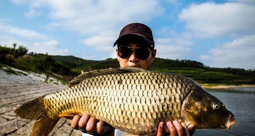 初夏江河钓鱼技巧有哪些？如何应对常见问题？