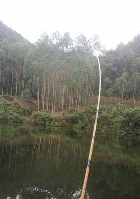 初夏降雨降温钓鱼技巧和方法是什么？如何应对天气变化提高钓鱼成功率？