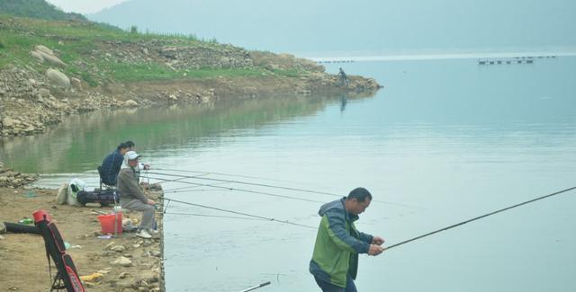 初夏水库钓鱼钓位技巧是什么？如何选择最佳钓位？