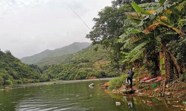 初夏水库野钓技巧和方法有哪些？如何提高钓鱼成功率？