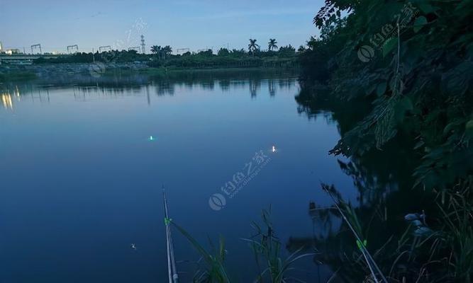 初夏水库夜钓技巧有哪些？如何提高夜钓成功率？