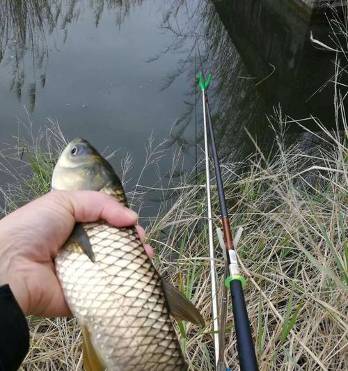 初夏野钓如何选择最佳钓位？掌握这些技巧轻松钓到鱼！