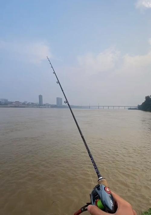 初夏雨季钓鱼技巧教程？如何应对雨季钓鱼的挑战？