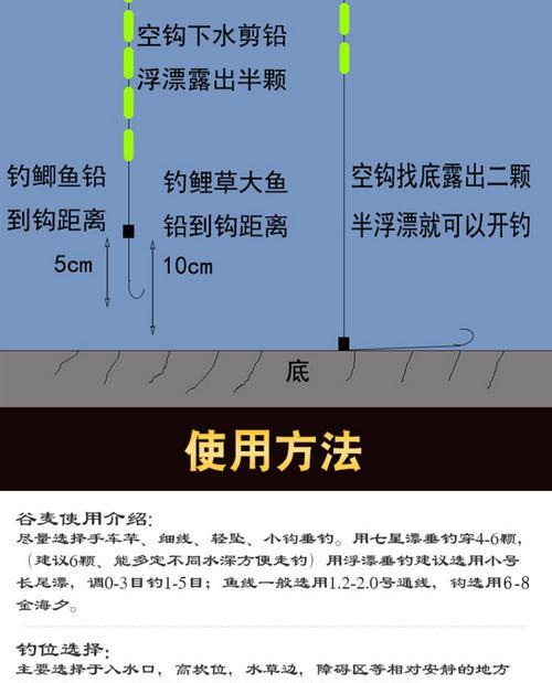 传统钓鱼逗钓技巧有哪些？如何提高钓鱼成功率？