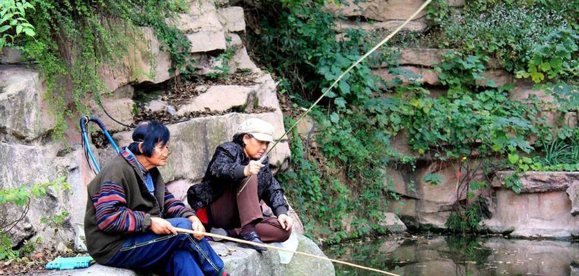 如何提高钓鱼技巧？学习钓鱼经验的最佳方法是什么？